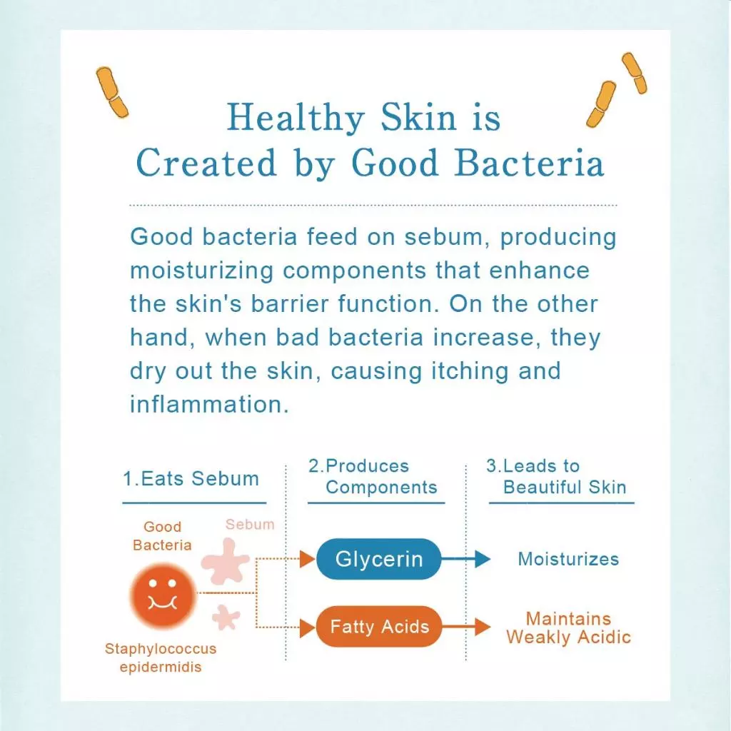 Lactoherb Lactic Acid Bacteria Moisturizing Face & Body Lotion 150 mL - Skincare, Moisturizer & Cream, made in Japan