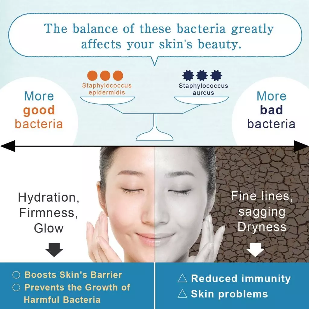 Lactoherb Lactic Acid Bacteria Moisturizing Face & Body Lotion 150 mL - Skincare, Moisturizer & Cream, made in Japan