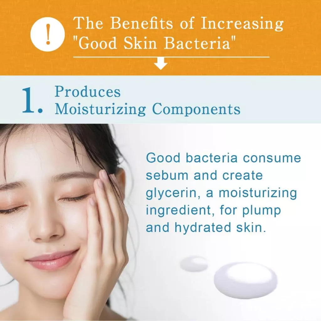 Lactoherb Lactic Acid Bacteria Moisturizing Face & Body Lotion 150 mL - Skincare, Moisturizer & Cream, made in Japan