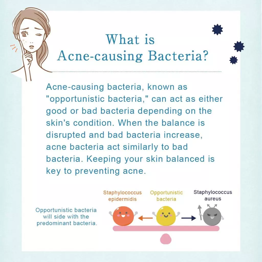 Lactoherb Lactic Acid Bacteria Moisturizing Face & Body Lotion 150 mL - Skincare, Moisturizer & Cream, made in Japan