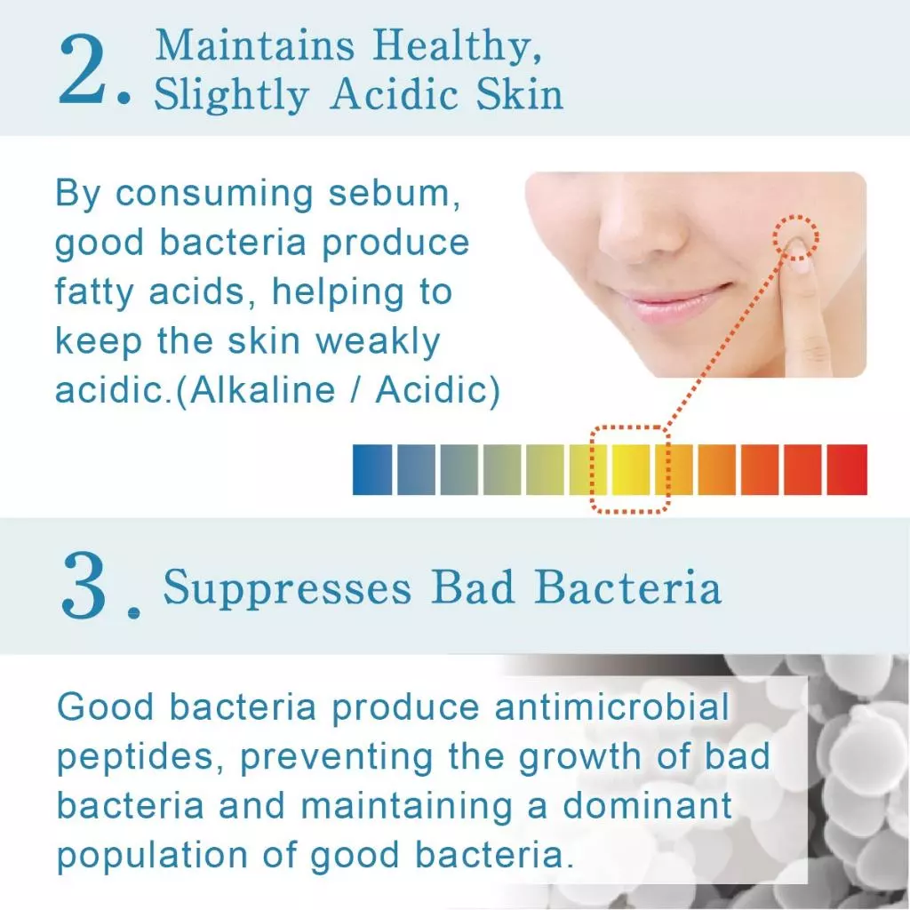 Lactoherb Lactic Acid Bacteria Moisturizing Face & Body Lotion 150 mL - Skincare, Moisturizer & Cream, made in Japan