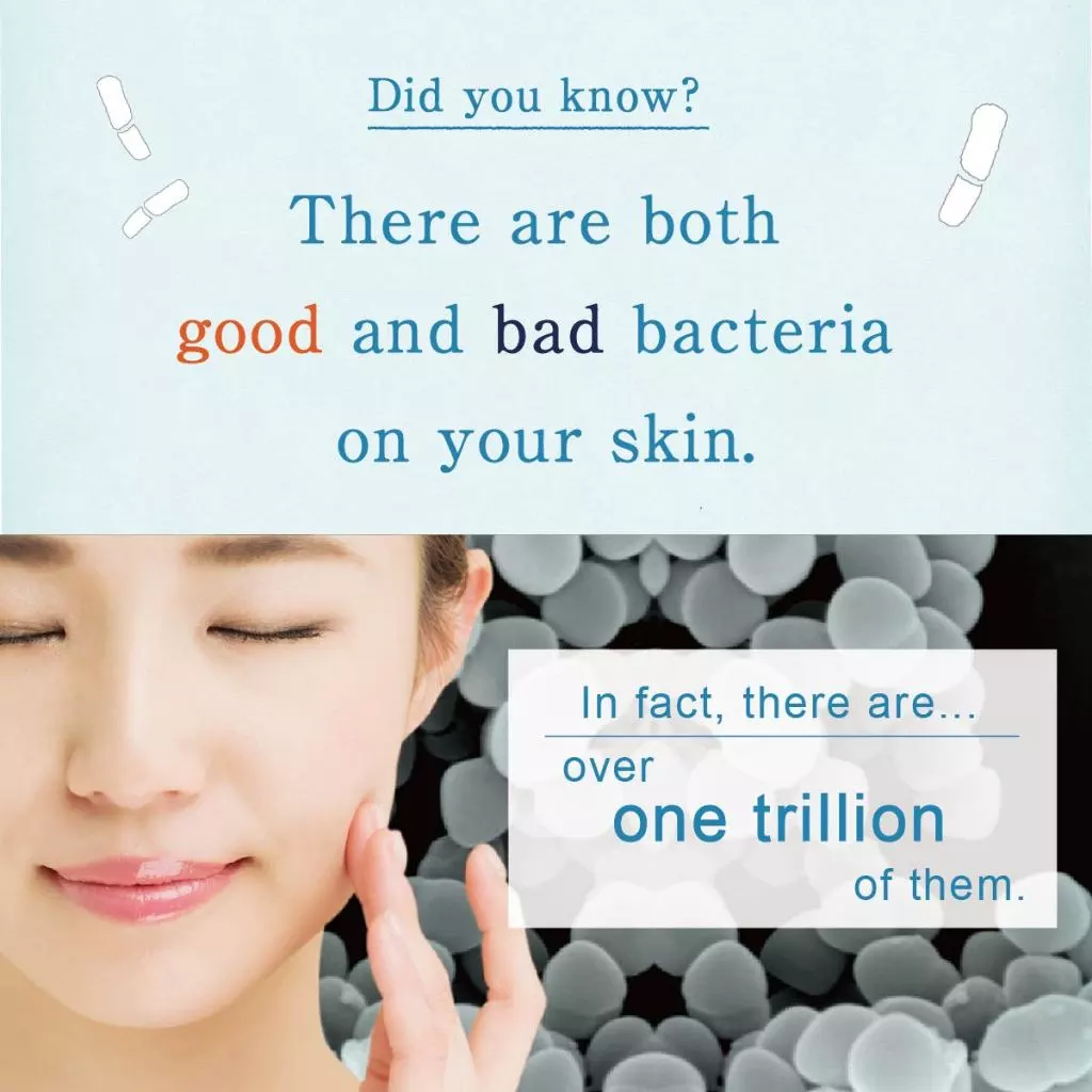 Lactoherb Lactic Acid Bacteria Moisturizing Face & Body Lotion 150 mL - Skincare, Moisturizer & Cream, made in Japan